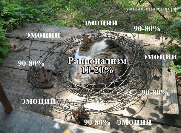 Психология трейдинга и эмоции - неотъемлемая часть жизни